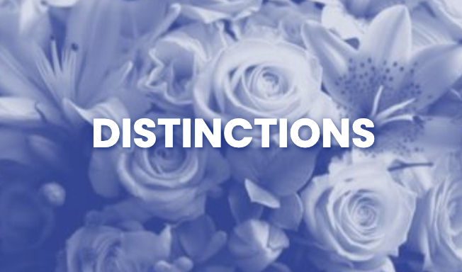 Sélextions, prix et récompnses des textes des Solitaires Intempestifs