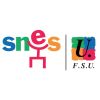 SNES_Culture